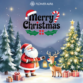 merry christmas wishes & Greetings